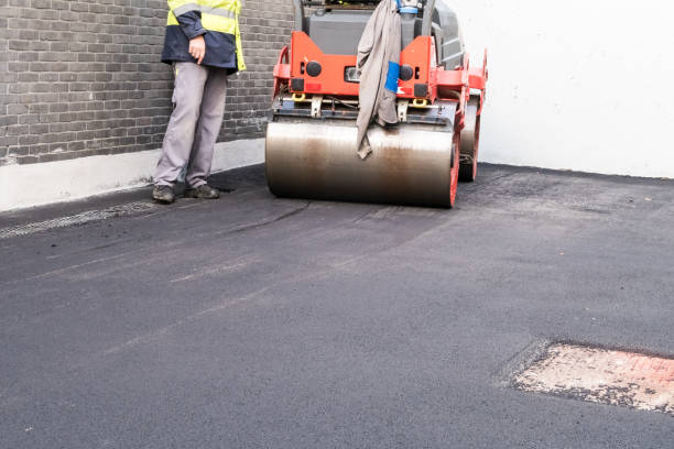 Best Driveway Snow Removal Preparation  in Edinburg, TX